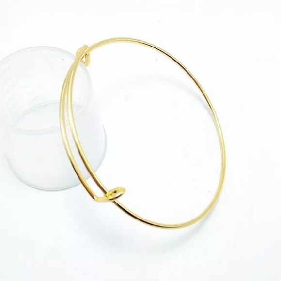 Stainless Steel Chatm Bangle 3 Colors Available - Picture 3 of 7